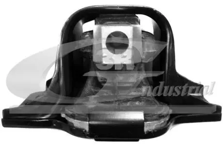 Подушка двигуна Renault Megane 1.4 16V/1.6 02- Kangoo 1.5dCi,1.6 08-, Scenic 1.4/1.5dCi/1.6 03- 3RG 40676
