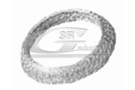 Кольцо коллектора 3RG 71605