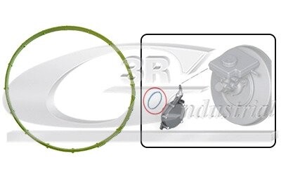 Прокладка вакуумного насоса Mini Cooper 06-13 N16/N18 3RG 74101