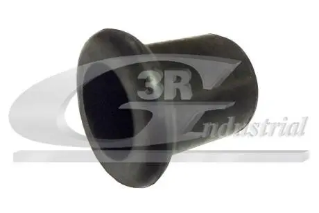 Запор 3RG 80024