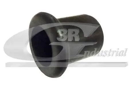 Запор 3RG 80030