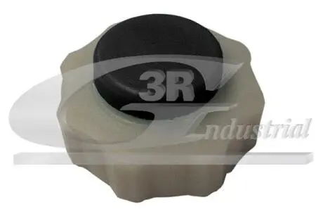 Запор 3RG 80631
