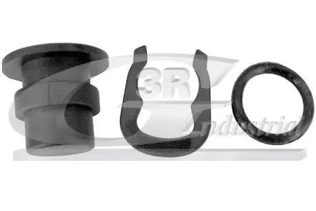 Запор 3RG 80738