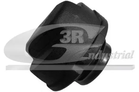Запор 3RG 81725