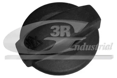 Запор 3RG 81731