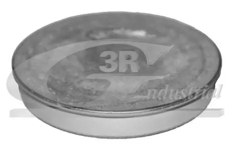 Крышка 3RG 84702