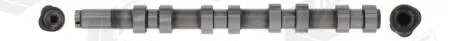 Распределительный вал AE CAM958