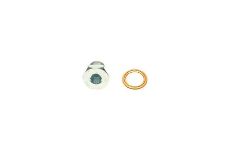 Болт слива оливы. Citroen Berlingo/Jumper/Jumpy/Peugeot Boxer/Expert/Partner 96- (M14x1.25) AIC 52880