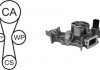Насос води + комплект зубчастого ременя AIRTEX WPK181801 (фото 1)