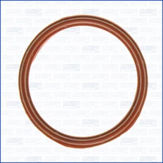 Прокладка впускного коллектора Ford Transit (00-) 2.4d AJUSA 01206900