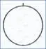 Прокладка корпуса колектора впускного Mazda 3/6/CX-3/CX-5 11- AJUSA 01416700 (фото 1)