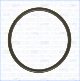 Ущільнення, водяний насос AJUSA 16055800