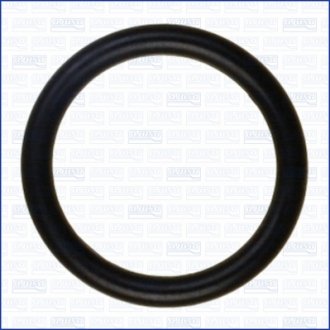 Кольцо резиновое AJUSA 16063100 (фото 1)