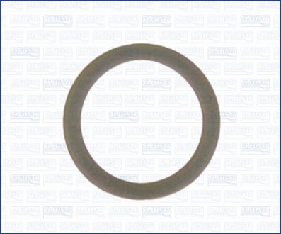Уплотняющее кольцо, резьбовая пр. AJUSA 22008900 (фото 1)