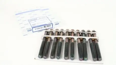 Болти головки AJUSA 81026100