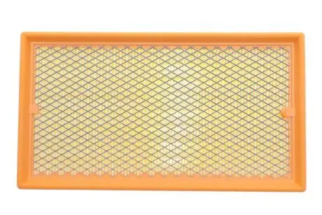 Фильтр воздушный (с сеткой)Ford Focus I 98-04, Tourneo Connect 02-, Transit Connect 02- Альфа ALPHA FILTER AF1616s