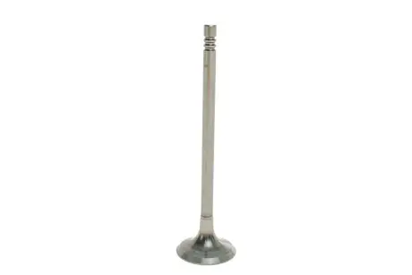 Клапан Opel Astra G/H/J/Insignia A 1.2/1.4 98-17 (25x5x93.85) (азотированный)) AMP POPE012-A-0-N