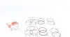 Кольца поршневые Chevrolet Lacetti 1.8 LDA (+0.50/81,00mm) (1.2x1.2x2.0) (к-кт 4 цилиндра)) AMP PR-CHE-49-3549-050-SET (фото 1)