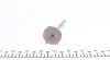 Клапан (выпуск) Skoda Octavia/Superb/VW Golf/Passat 1.8 97-10 (29.9x6x103.9) (азотированный)) AMP PVWG122-A-0-N (фото 2)