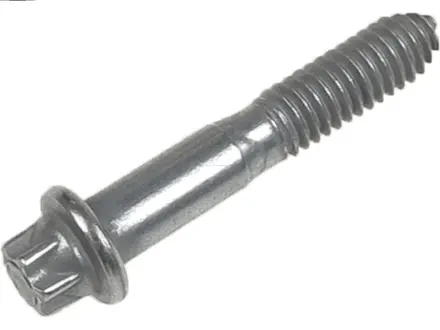 Болт з головкою системи TORX з чорного металу AS SP1003