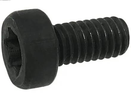 Болт з головкою системи TORX з чорного металу AS SP3022S(BULK)
