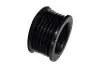 Шкив генератора Renault Clio, Megane, Scenic, logan, Kangoo 1.4i, 1.5d, 1.6i (125А-6PK) ASAM 30606 (фото 1)