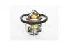 Термостат Chevrolet Cruze/Opel Astra H, J, Corsa D 1.7 CDTI (07-) ASAM 77149 (фото 1)