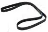 Фото 1 - ремень генератора Ford Focus/C-Max 1.8 TDCi 05-12/Skoda Octavia 1.4 i 99-01 ASHIKA 1126PK1520 Ремень генератора Ford Focus/C-Max 1.8 TDCi 05-12/Skoda Octavia 1.4 i 99-01 ASHIKA 1126PK1520 (фото 1)