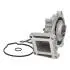 Помпа води Ford Transit VII 2.0DI/TDCi 00-06/Mondeo III 2.0/2.2TDCi 00-07 (B/B) (8 лоп.) (без корп.).) ASHIKA 35000302 (фото 2)