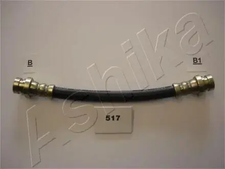 Кронштейн, тормозный шланг ASHIKA 6905517