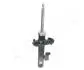 Амортизатор PRZOD P MAZDA 3 1.6 MZR ASHIKA MA33034 (фото 1)