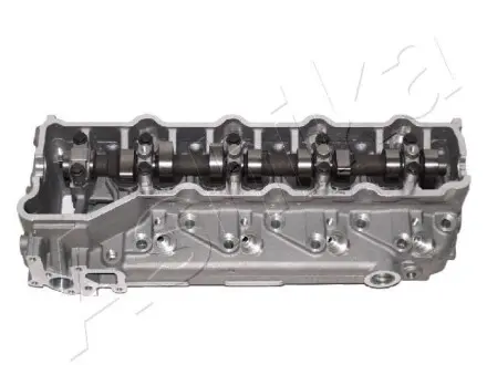 Головка циліндра ASHIKA MI025S