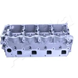 Головка блоку циліндрів NISSAN NAVARA, PATHFINDER, X-TRAIL ASHIKA NS015S