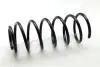 Пружина (передняя) Seat Cordoba 1.6i/1.9SDI/TDI 93-02/VW Polo 1.6/1.7-1.9SDI/TDI 95-06 (седан/унив)) ASHIKA ZCA1690C (фото 1)
