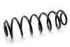 Пружина (задняя) VW Fox 1.2/1.4/1.4TDI 05-11 (хэтчбек)) ASHIKA ZCA6627H (фото 1)