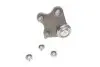 Опора шаровая (передняя/снизу)/R) VW Polo/Skoda Fabia 1.0-2.0 99- ASMETAL 10AU1201 (фото 2)