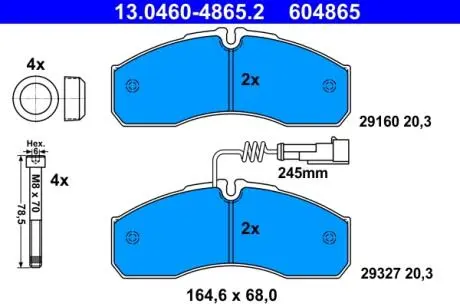 Гальмівні колодки NT400 CABSTAR (F24M) ATE 13046048652