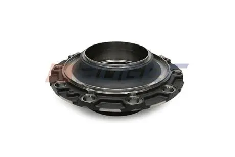 Маточина колеса задн SCANIA P/G/R/T AUGER 96146