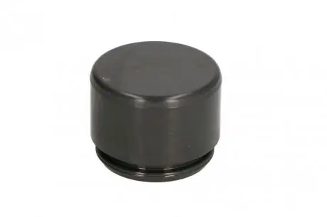 Поршень суппорта тормозного DB P. W163 01-05 AUTOFREN D025255