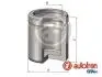 Поршень супорта гальмівного FORD P. FIESTA/KA 95-08 D025507