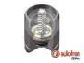 Tіoczek z mechanizmem AUTOFREN D025529K (фото 1)