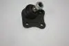 Шаровая опора правая Audi A3 Seat Leon, Toledo II Skoda Octavia I VW Bora, Golf IV, New Beetle 1.4-2.8 09.96-12.10 AUTOMEGA 110055310 (фото 1)