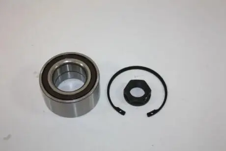 Подшипник AUTOMEGA 110124710
