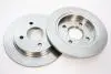 Диск гальмівний задній / FORD Scorpio,Sierra, Focus,Fiesta (10.0-253) 85~ AUTOMEGA 120010410 (фото 1)