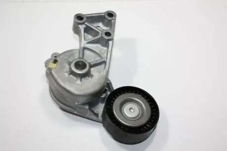 Натяжник паска VAG A3/A4/A6/Alhambra/Leon/Octavia/Superb/Bora/Golf IV/Passat/T-5 1.9TDI 00- AUTOMEGA 130015710