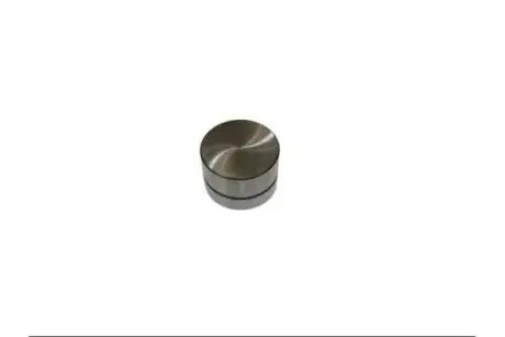 Гідрокомпенсатор Opel 1.6,2.0,2,5 16V/24V AUTOMEGA 130106210