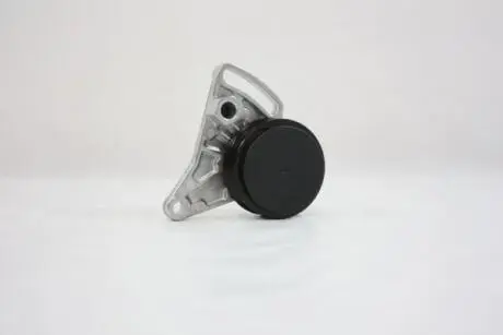 Ролик с кронштейном поликлинового пояса VW Passat 1.9 TDI 00- AUTOMEGA 160034410
