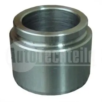 Поршенек пер. суппорта AUTOTECHTEILE 100 4270