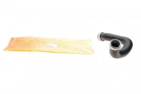Патрубок интеркулера (R) MB E-class (W210) 2.2CDI 98-02 AUTOTECHTEILE 100 5203