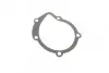 Помпа води Citroen C4/C5/C8/Jumpy/Berlingo 2.0HDi/Fiat Scudo/Ducato 1.9D/2.0JTD 98- AUTOTECHTEILE 508 0106 (фото 7)